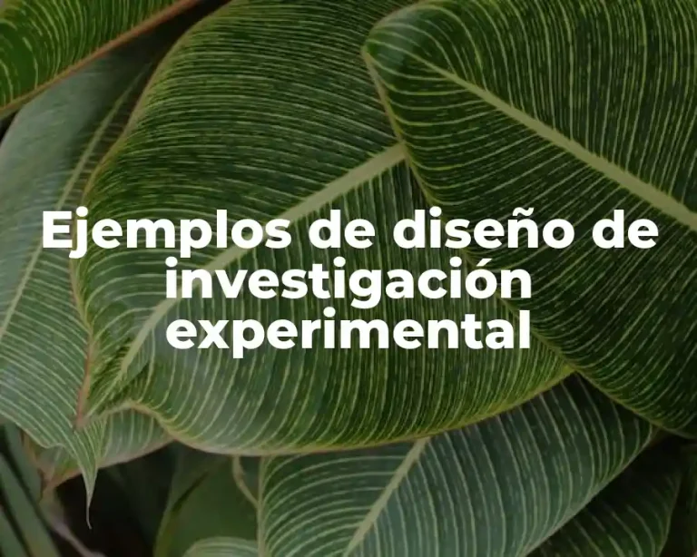 Ejemplos de diseño de investigación experimental