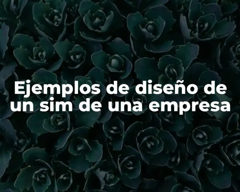 Ejemplos de diseño de un sim de una empresa