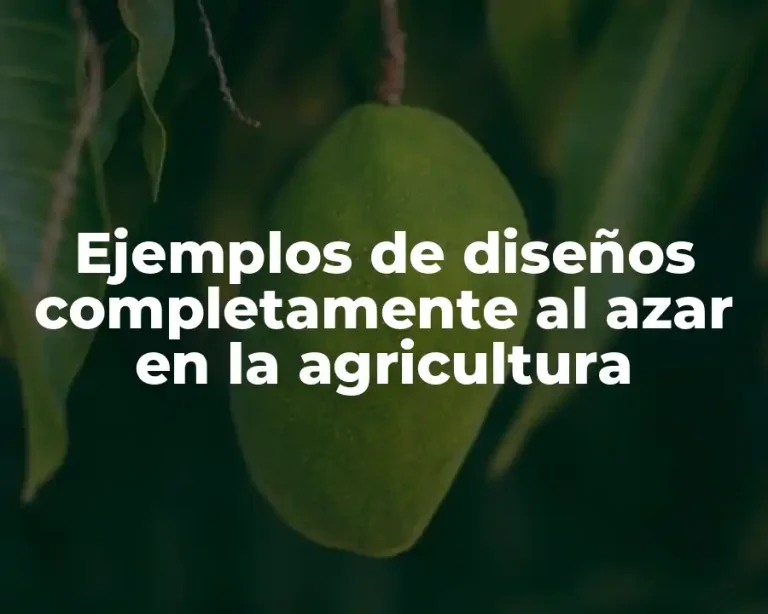 Ejemplos de diseños completamente al azar en la agricultura