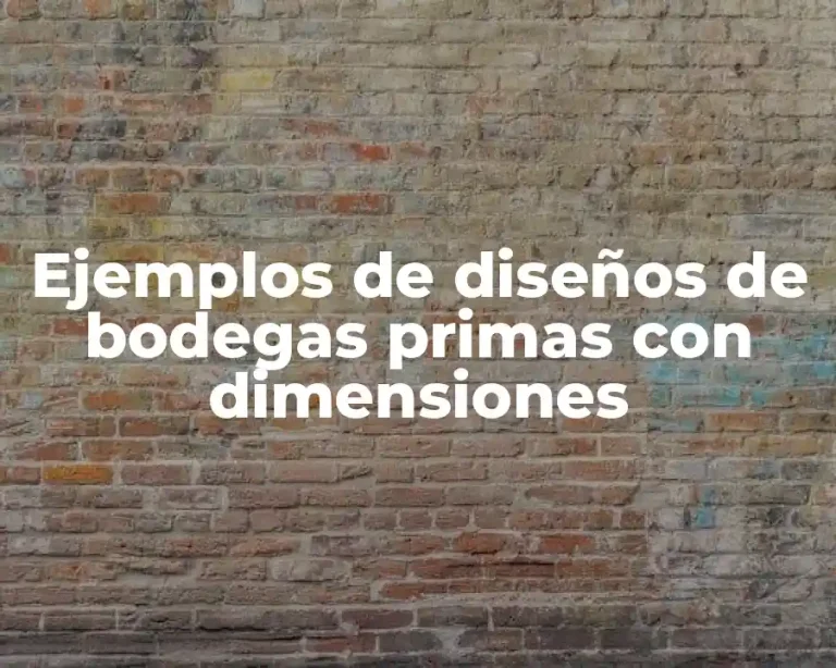 Ejemplos de diseños de bodegas primas con dimensiones