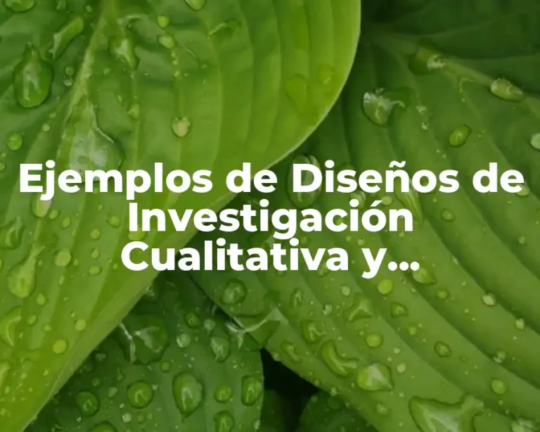 Ejemplos de Diseños de Investigación Cualitativa y Significado