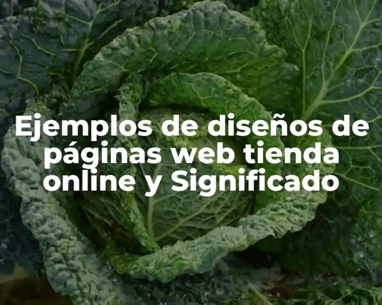 Ejemplos de diseños de páginas web tienda online y Significado