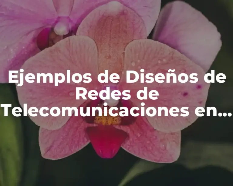 Ejemplos de Diseños de Redes de Telecomunicaciones en Planos