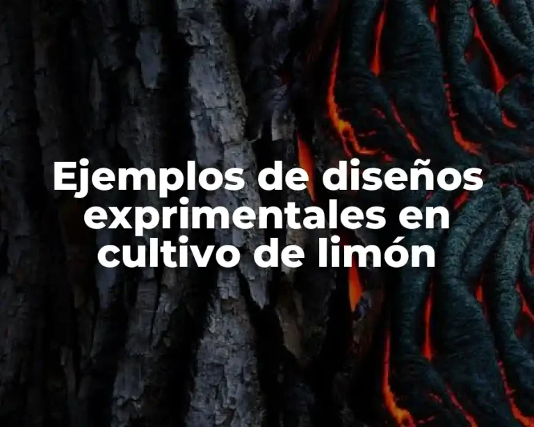 Ejemplos de diseños exprimentales en cultivo de limón