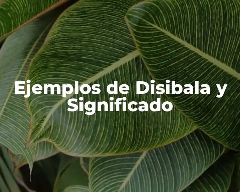 Ejemplos de Disibala y Significado