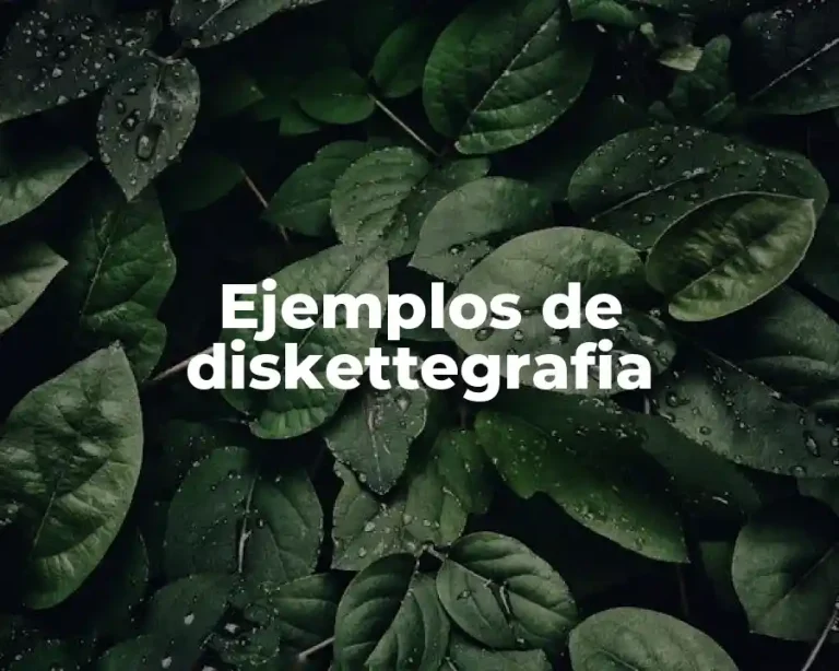 Ejemplos de diskettegrafia