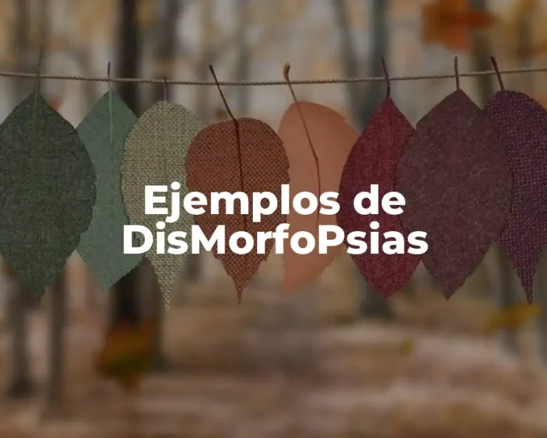 Ejemplos de DisMorfoPsias
