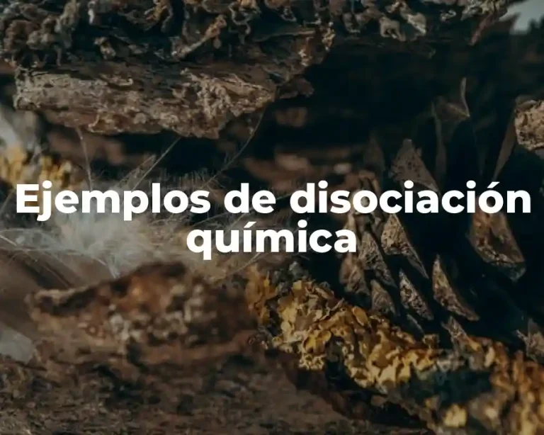 Ejemplos de disociación química