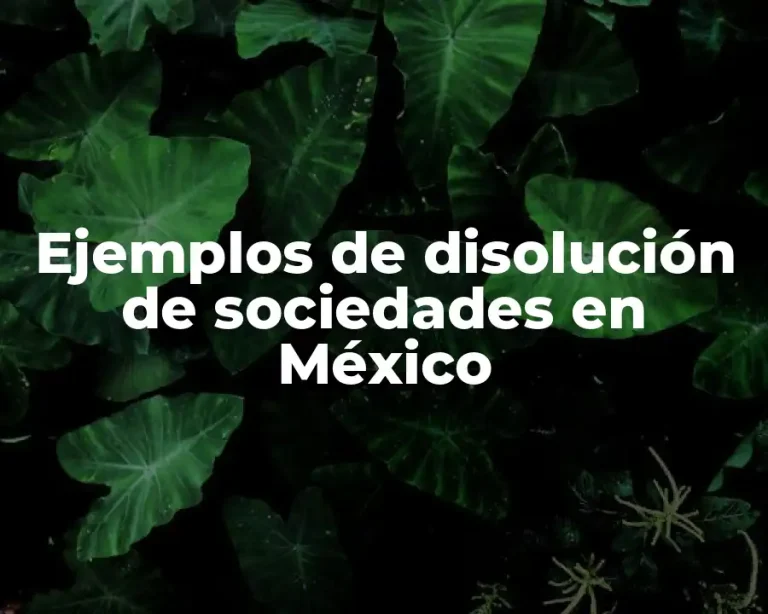 Ejemplos de disolución de sociedades en México