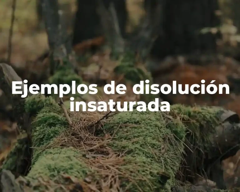 Ejemplos de disolución insaturada