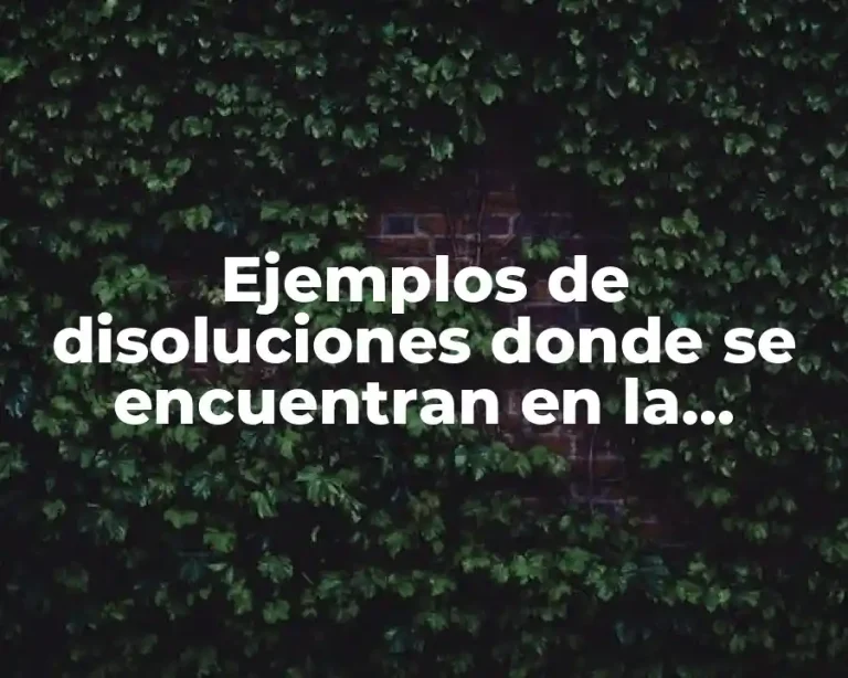 Ejemplos de disoluciones donde se encuentran en la naturaleza y Significado