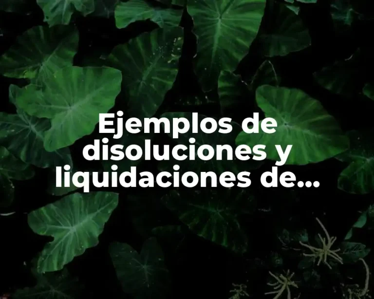 Ejemplos de disoluciones y liquidaciones de sociedades mercantiles en