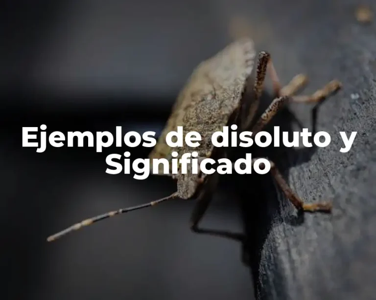 Ejemplos de disoluto y Significado