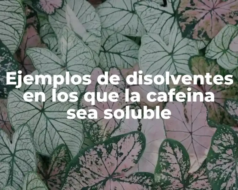 Ejemplos de disolventes en los que la cafeina sea soluble