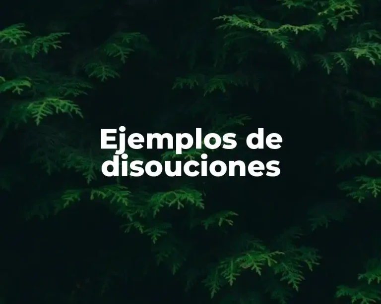 Ejemplos de disouciones