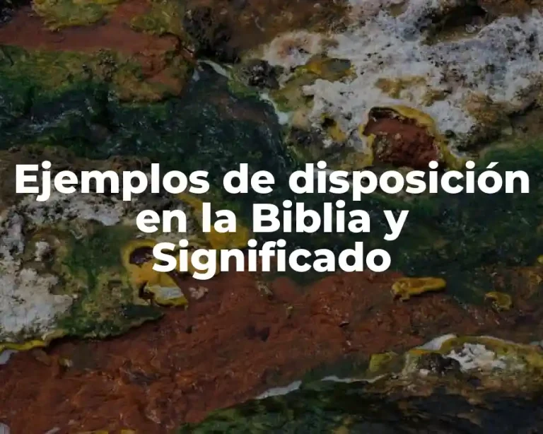 Ejemplos de disposición en la Biblia y Significado