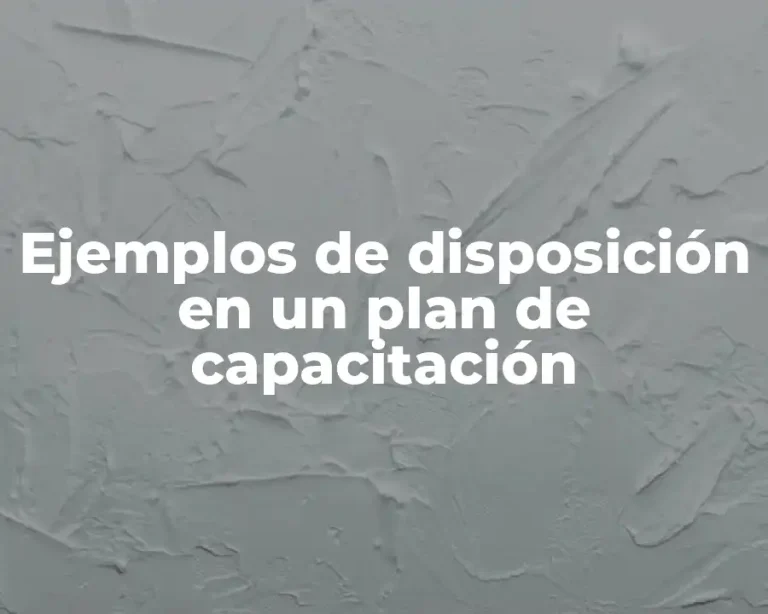 Ejemplos de disposición en un plan de capacitación