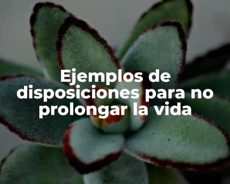 Ejemplos de disposiciones para no prolongar la vida