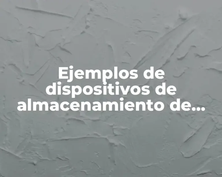 Ejemplos de dispositivos de almacenamiento de una computadora