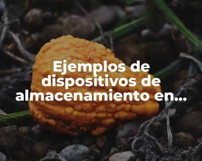 Ejemplos de dispositivos de almacenamiento en una computadora y Significado