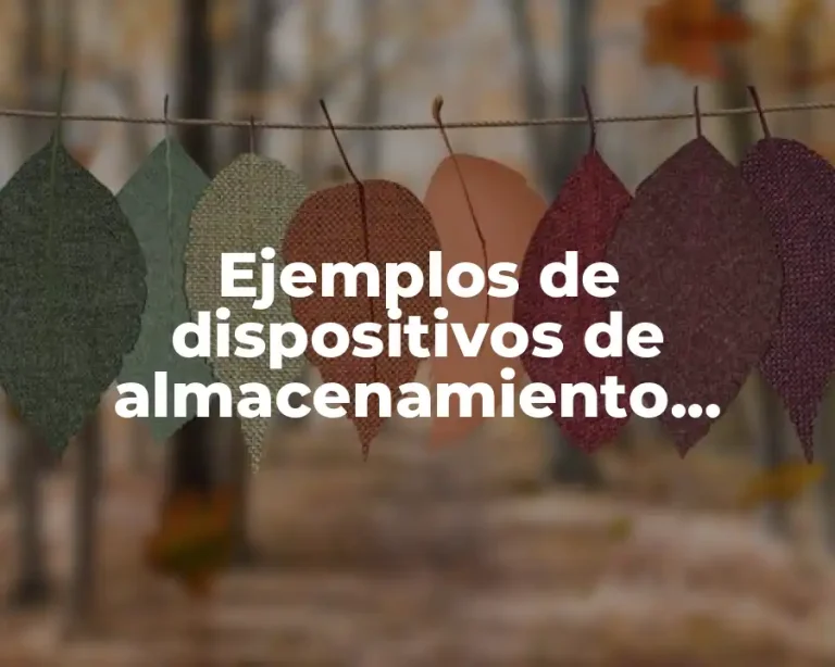 Ejemplos de dispositivos de almacenamiento primario y secundario