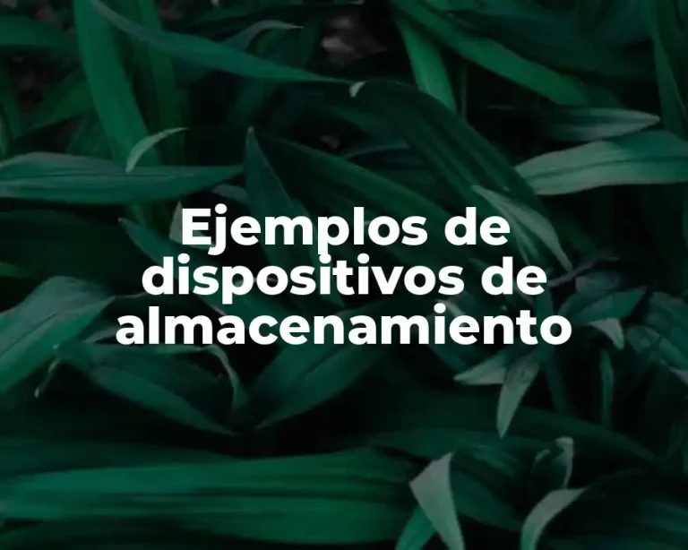 Ejemplos de dispositivos de almacenamiento
