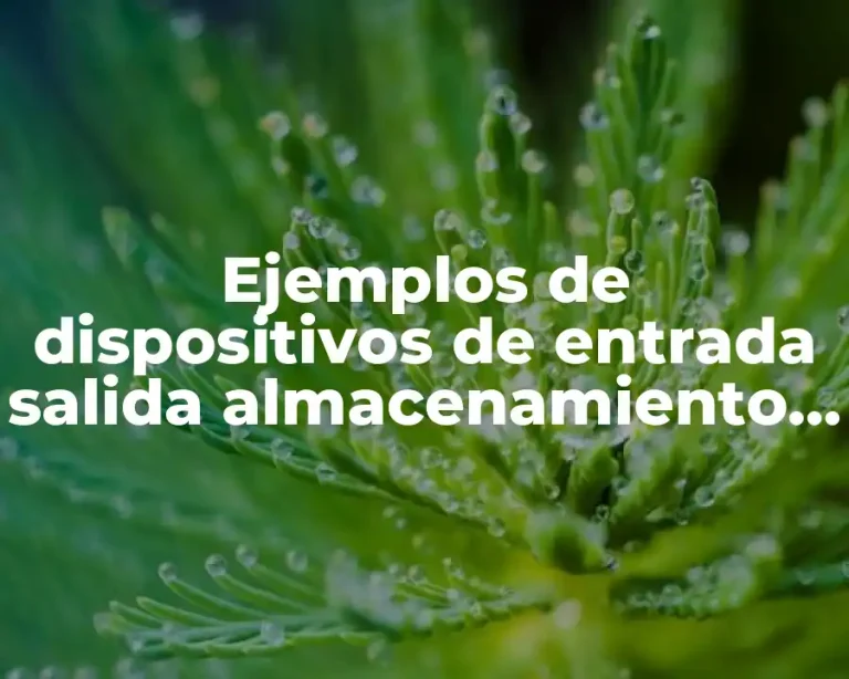 Ejemplos de dispositivos de entrada salida almacenamiento y procesamiento