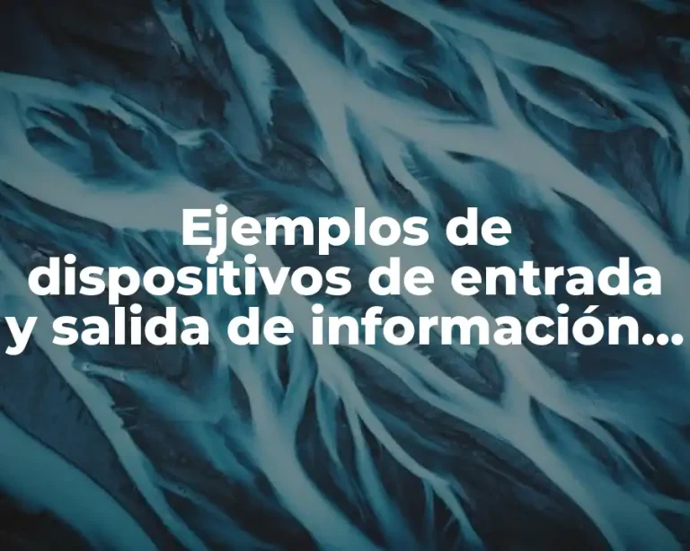 Ejemplos de dispositivos de entrada y salida de información y Significado