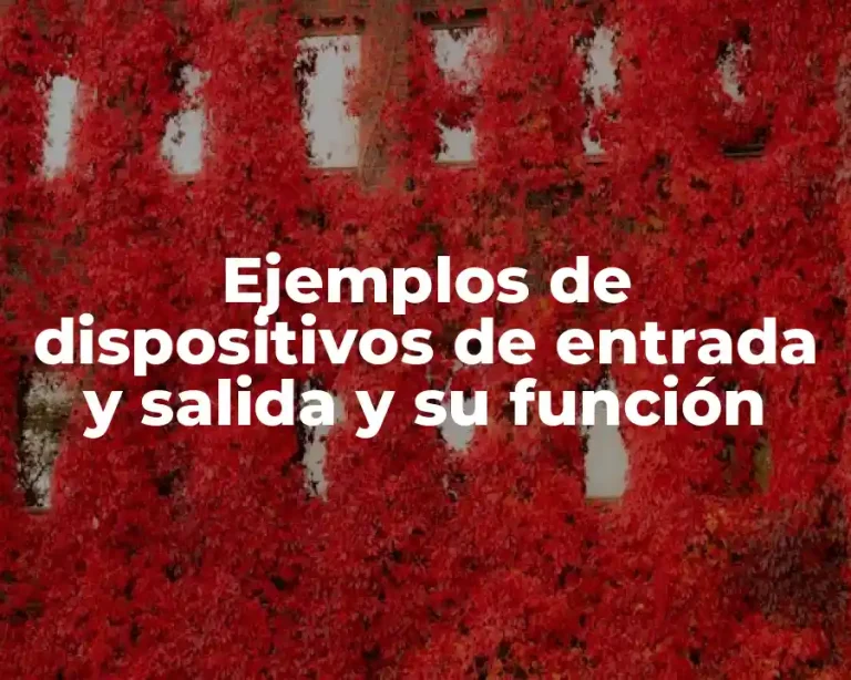 Ejemplos de dispositivos de entrada y salida y su función