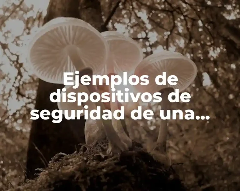 Ejemplos de dispositivos de seguridad de una computadora