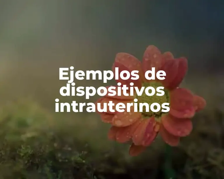 Ejemplos de dispositivos intrauterinos