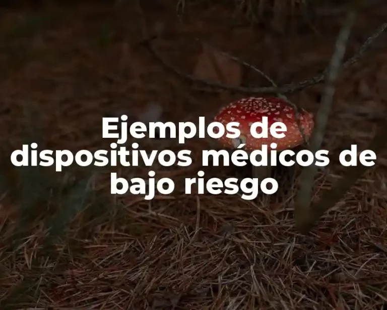 Ejemplos de dispositivos médicos de bajo riesgo