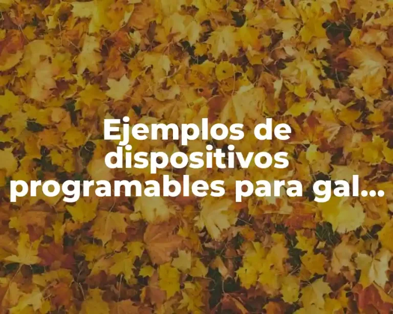 Ejemplos de dispositivos programables para gal y pla y Significado