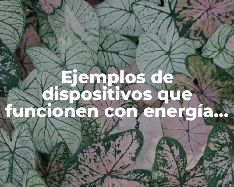Ejemplos de dispositivos que funcionen con energía hidráulica