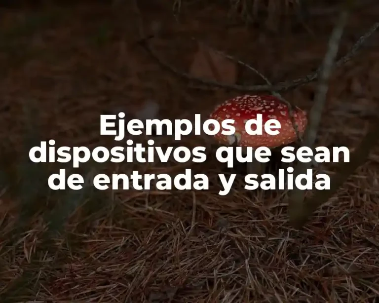 Ejemplos de dispositivos que sean de entrada y salida