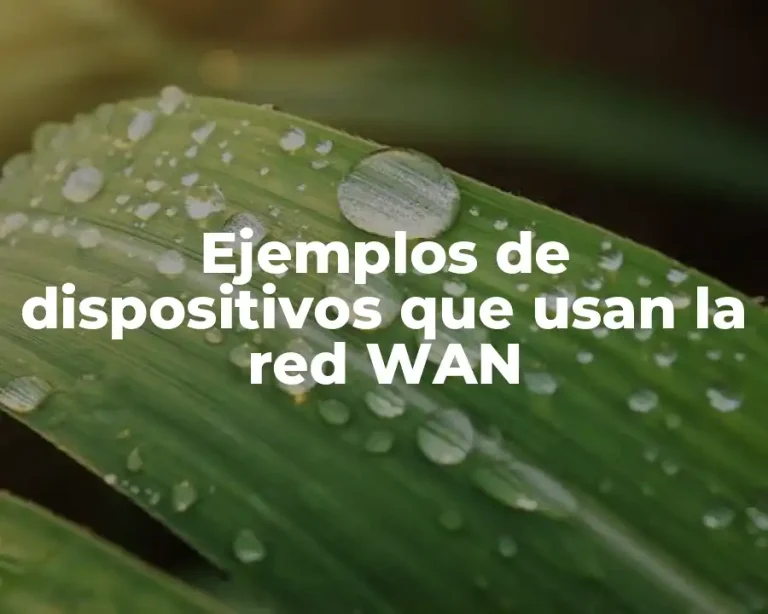 Ejemplos de dispositivos que usan la red WAN