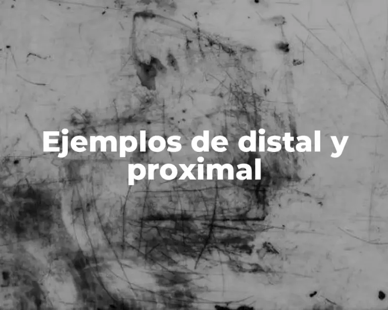 Ejemplos de distal y proximal