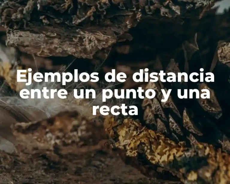 Ejemplos de distancia entre un punto y una recta