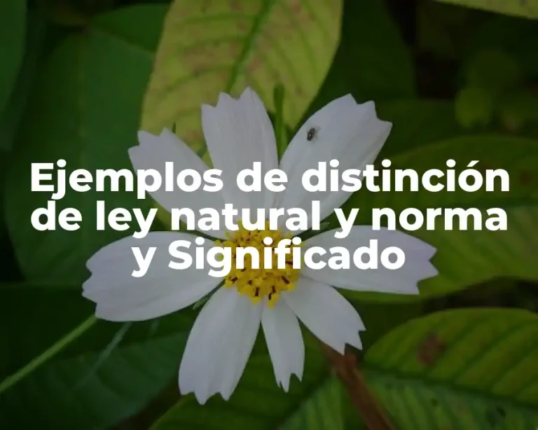 Ejemplos de distinción de ley natural y norma y Significado