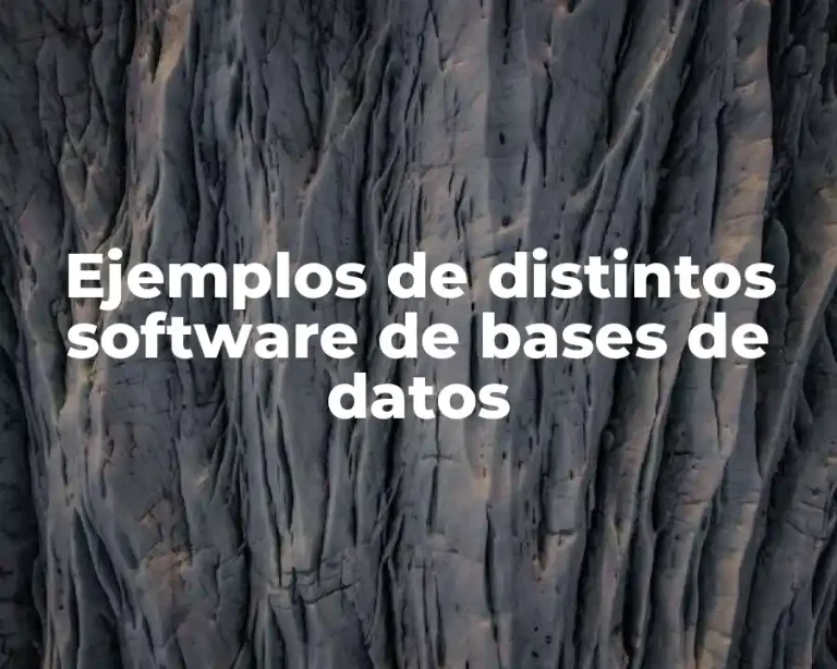 Ejemplos de distintos software de bases de datos
