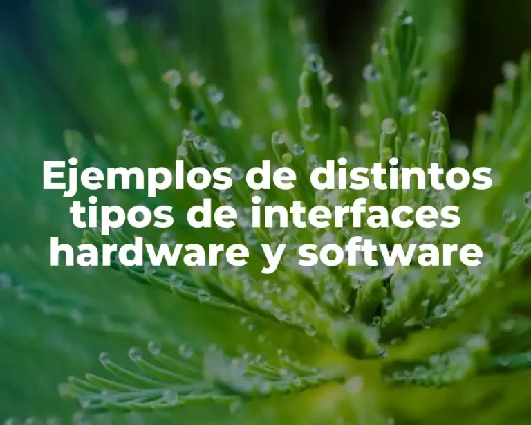 Ejemplos de distintos tipos de interfaces hardware y software