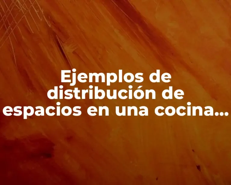 Ejemplos de distribución de espacios en una cocina planta arquitectónica y Significado