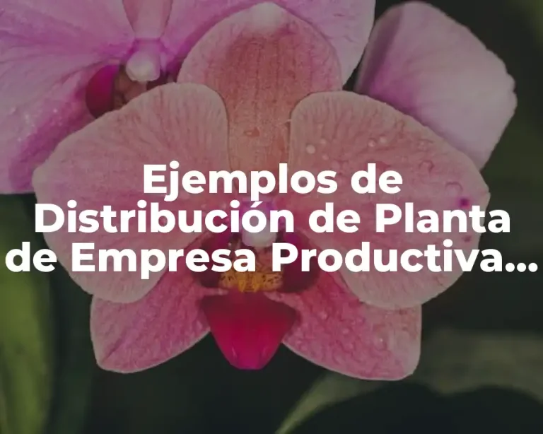 Ejemplos de Distribución de Planta de Empresa Productiva y Servicial