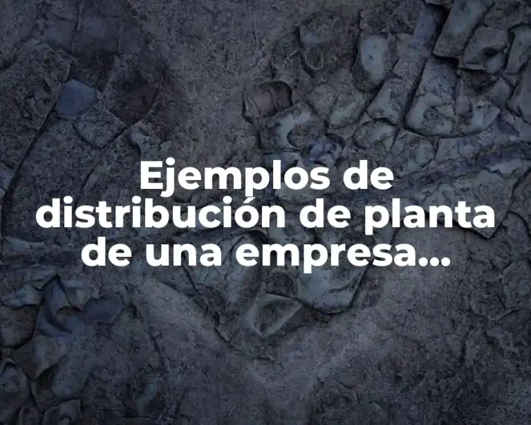 Ejemplos de distribución de planta de una empresa agroindustrial
