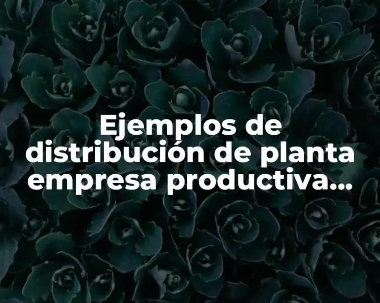 Ejemplos de distribución de planta empresa productiva Scribd