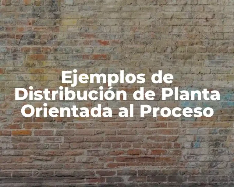 Ejemplos de Distribución de Planta Orientada al Proceso