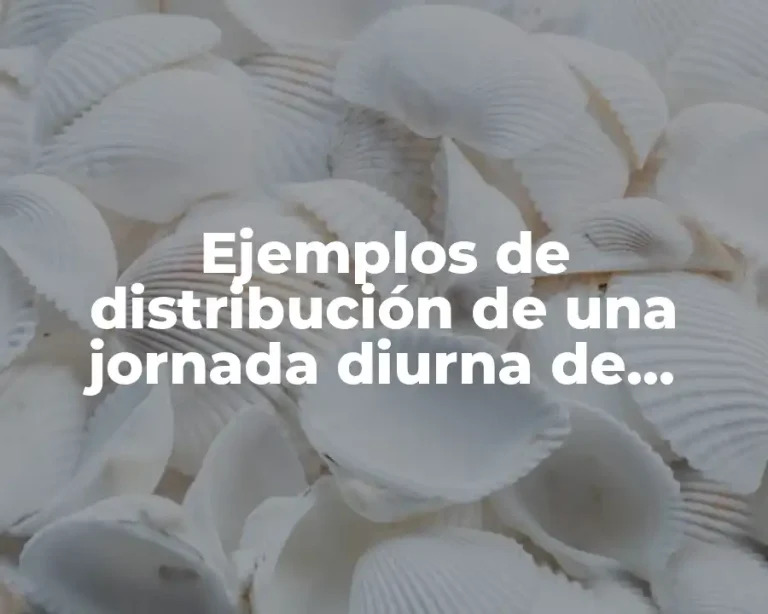 Ejemplos de distribución de una jornada diurna de trabajo