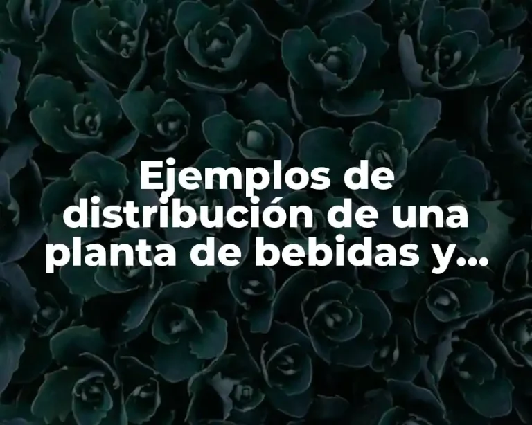 Ejemplos de distribución de una planta de bebidas y Significado