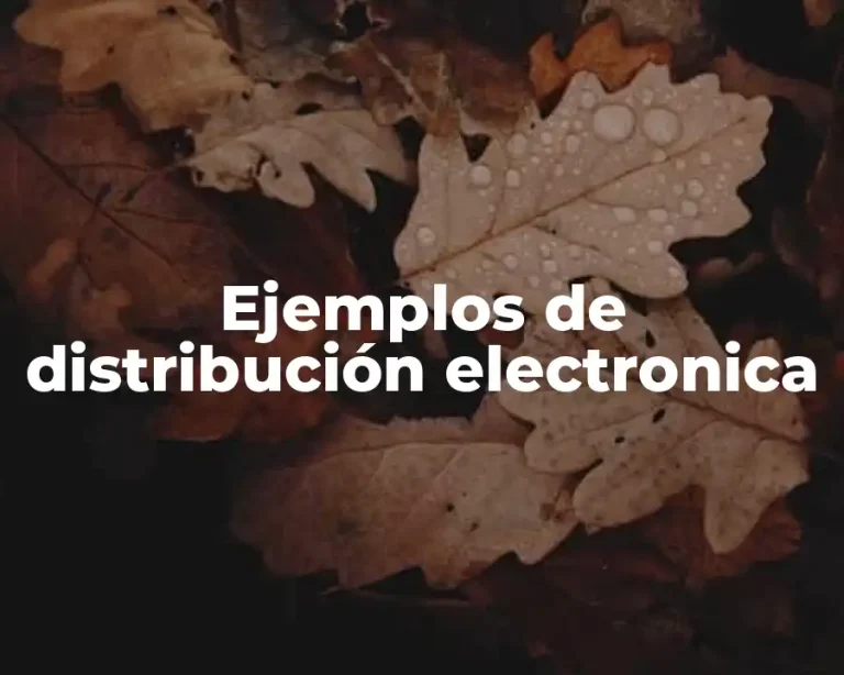 Ejemplos de distribución electronica