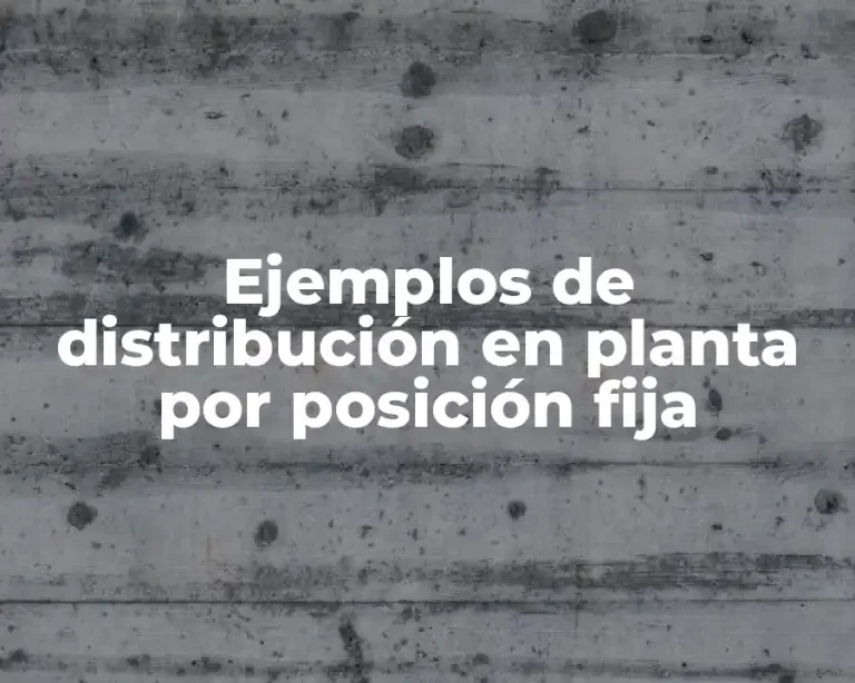 Ejemplos de distribución en planta por posición fija